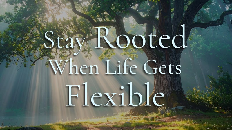 HFBC Christian Living item: Stay Rooted When Life Gets Flexible